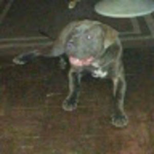 Meet your Posher, Brent